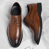 Terje | KIRGAST KIIDAS OXFORD