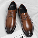 Terje | KIRGAST KIIDAS OXFORD